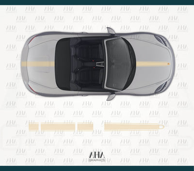 718 Boxster Center Stripes Decals